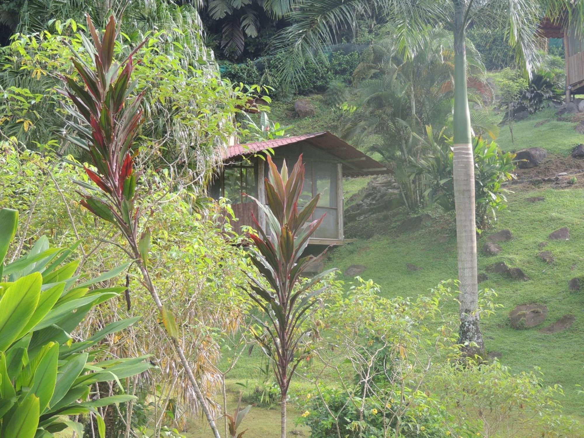 Pacuare River Lodge Bajo Tigre Екстер'єр фото