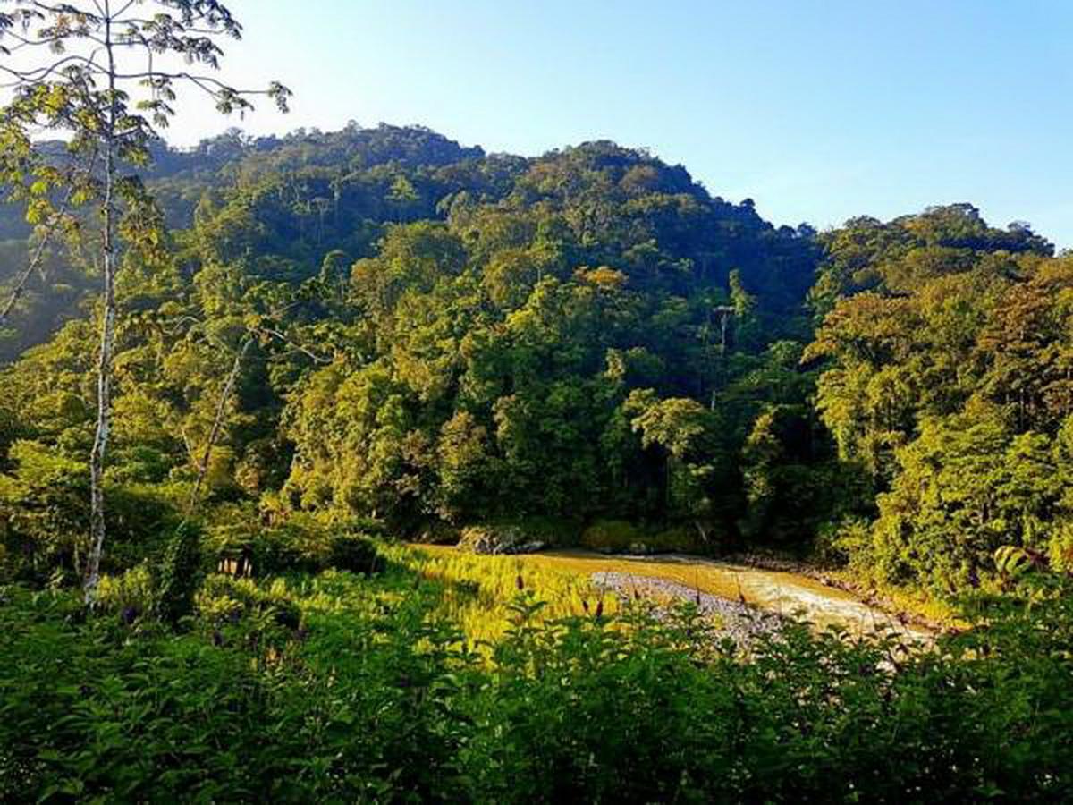 Pacuare River Lodge Bajo Tigre Екстер'єр фото
