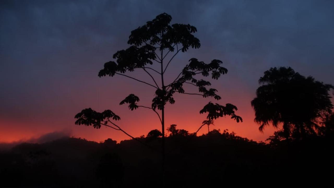 Pacuare River Lodge Bajo Tigre Екстер'єр фото