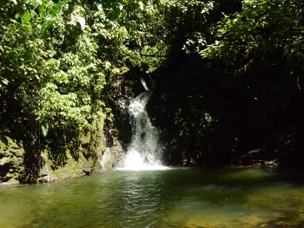 Pacuare River Lodge Bajo Tigre Екстер'єр фото