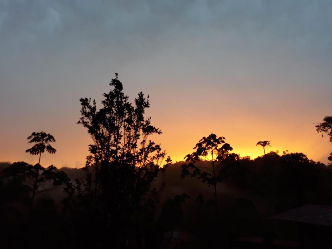 Pacuare River Lodge Bajo Tigre Екстер'єр фото